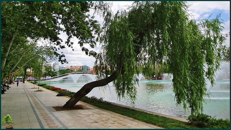 Willow Tree by Lake — Green, Serene, Afternoon, Photograph, Fountain