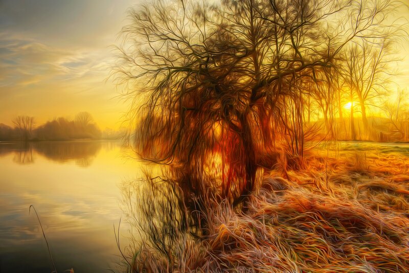 Willow Tree by Lake — Yellow, Serene, Sunrise