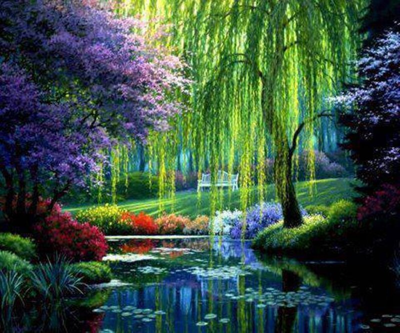 Willow Tree by Pond — Green, Serene, Afternoon, Painting