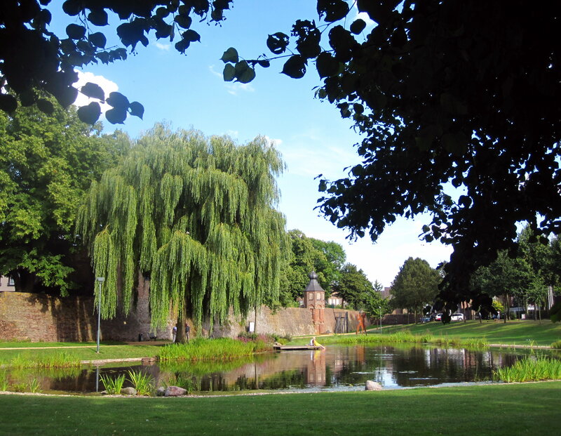Willow Tree by Pond — Green, Serene, Afternoon, Photograph, Wall