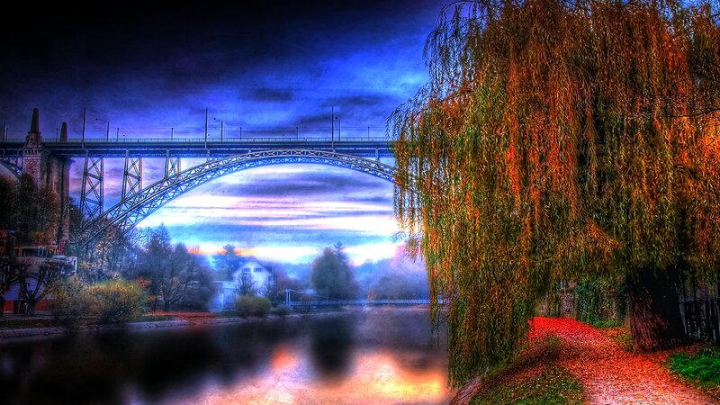 Willow Tree by River — Blue