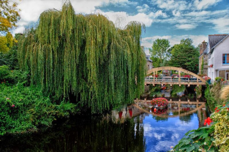 Willow Tree by River — Green, Serene, Afternoon