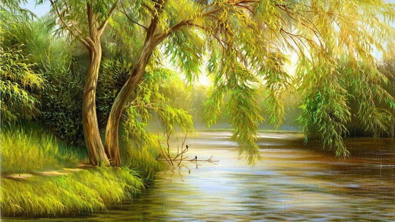 Willow Tree by River — Green, Serene, Morning, Painting
