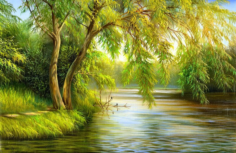 Willow Tree by River — Green, Serene, Morning, Painting, Trees