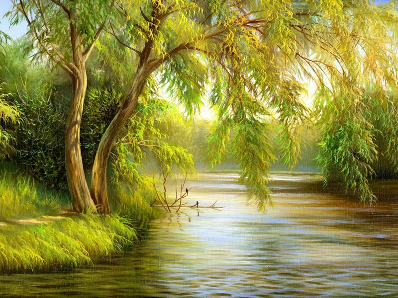 Willow Tree by River — Green, Serene, Morning