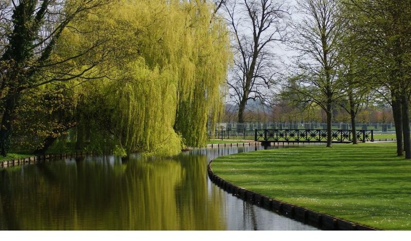 Willow Tree by River — Green, Serene, Spring, Photograph, Bridge