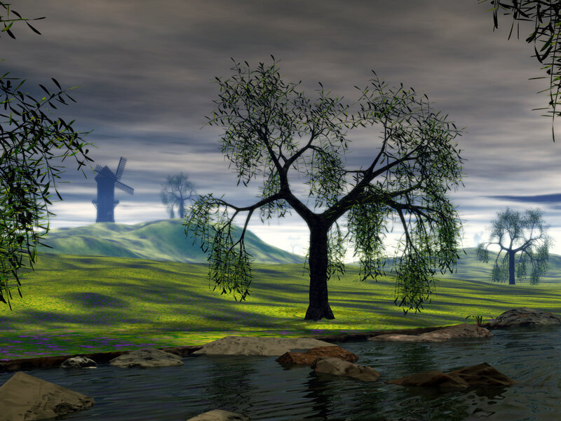 Willow Tree by River