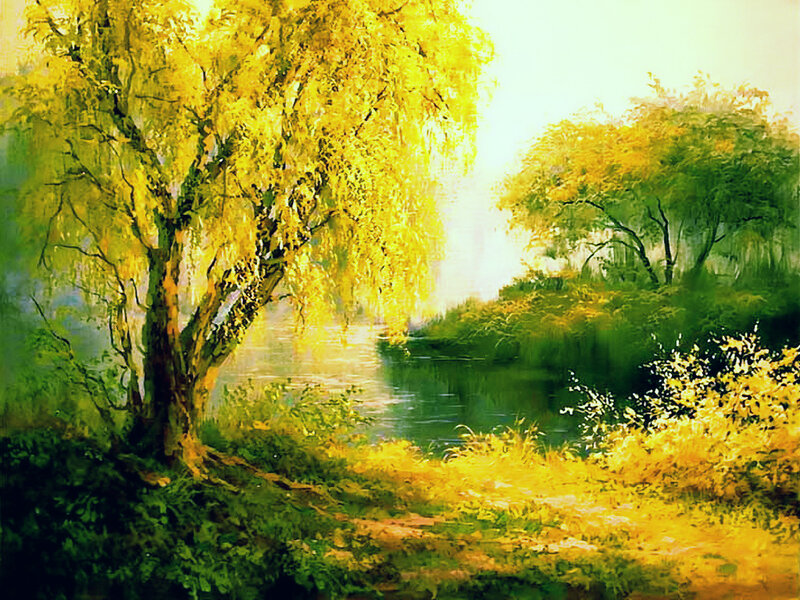 Willow Tree by River — Yellow, Serene