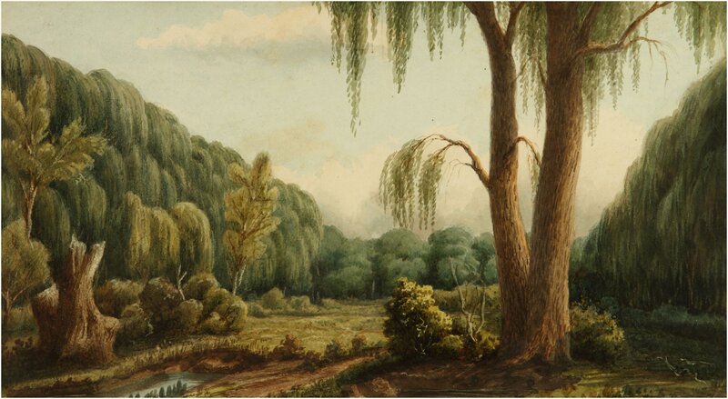 Willow Tree Landscape