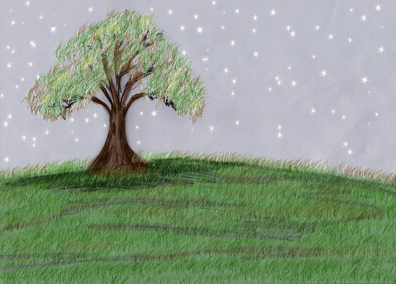 Willow Tree on Hill