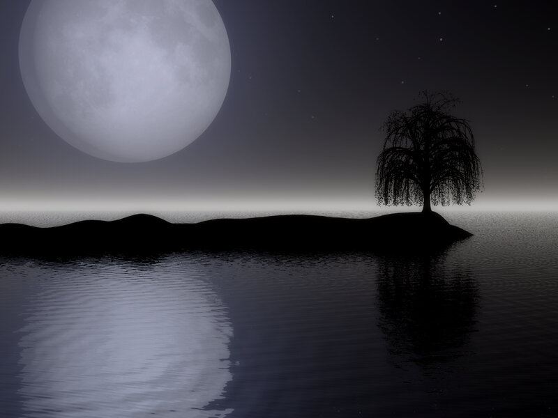 Willow Tree on Island — Black