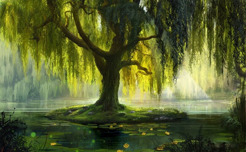 Willow Tree on Island — Green, Serene, Morning
