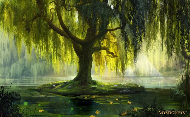 Willow Tree on Island — Green, Serene