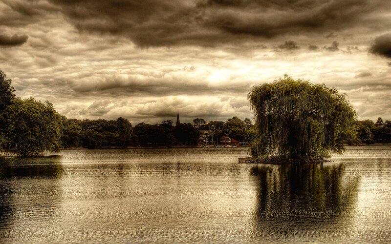 Willow Tree on Island
