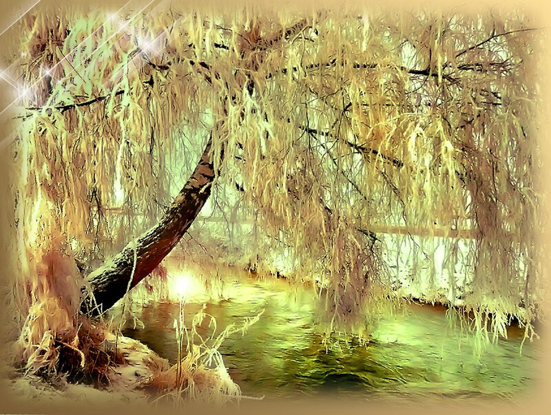 Willow Tree over Water