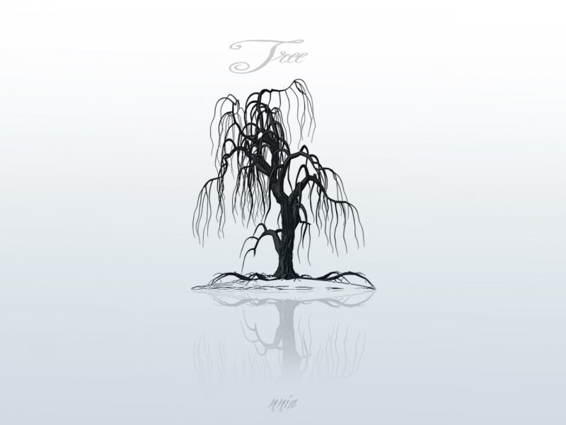 Willow tree reflection