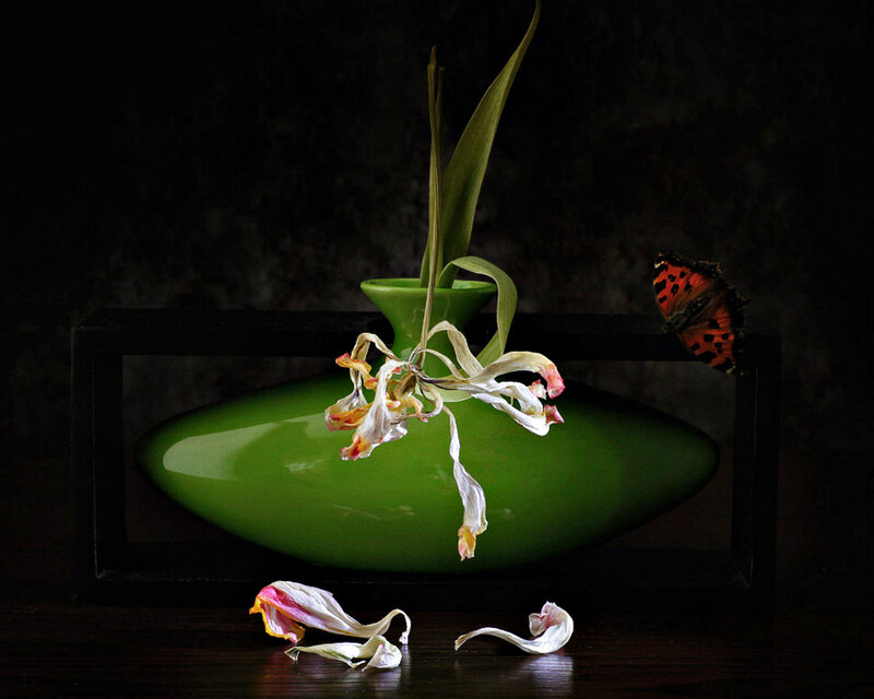 Wilted Flower in Vase