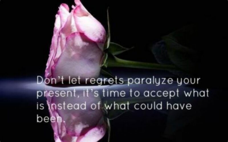 Wilted Pink Rose — Black