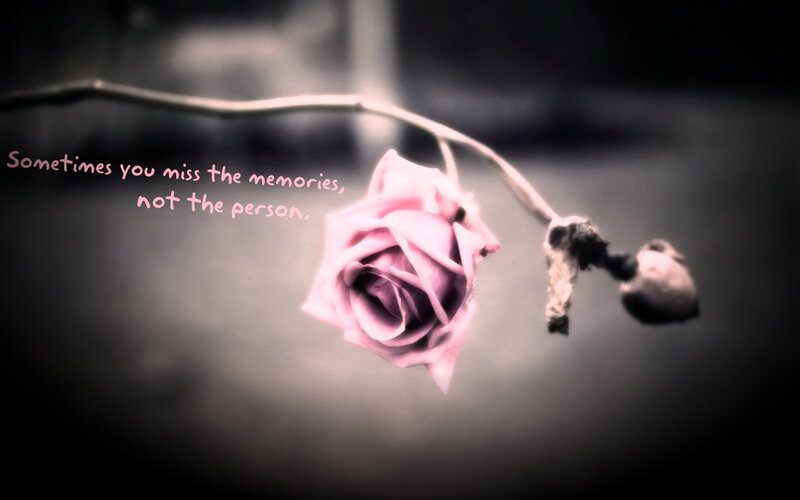 Wilted Pink Rose — Melancholic, Photograph