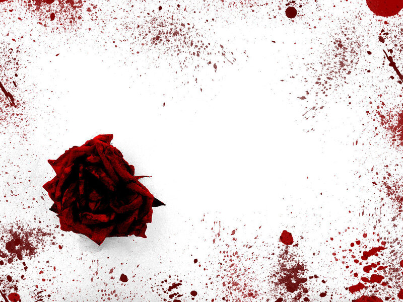 Wilted Red Rose — Dramatic