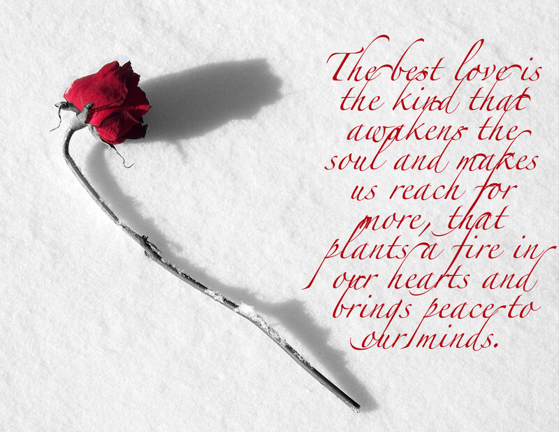Wilted Red Rose — Melancholic, Winter