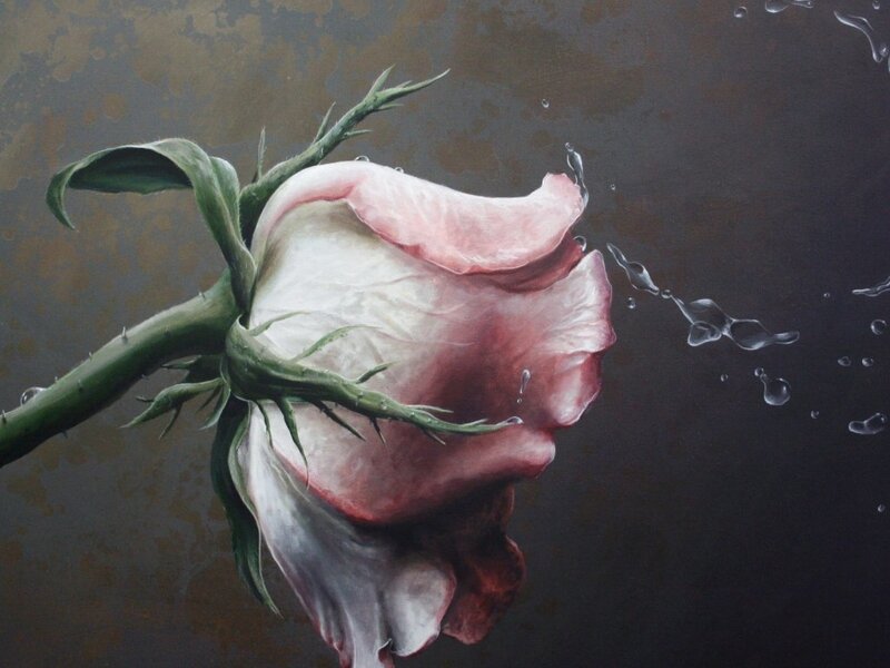 Wilted Rose in Water — Pink