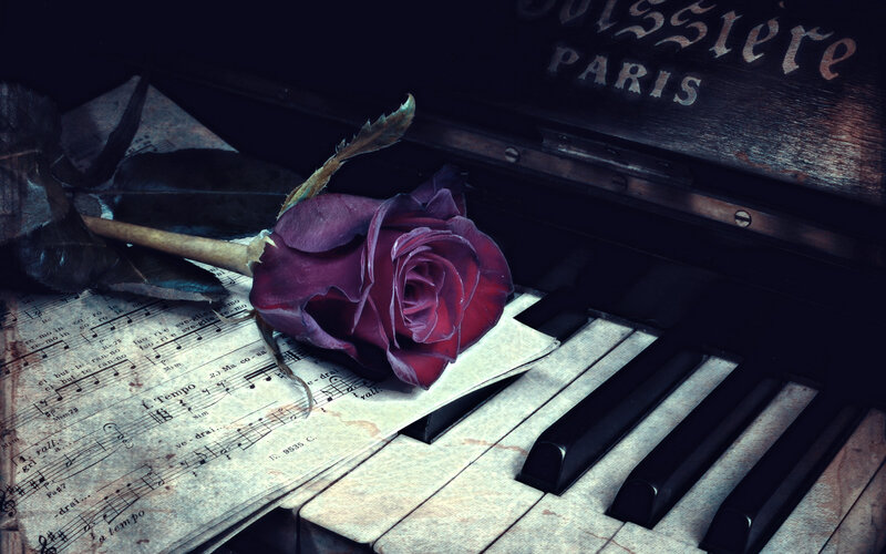 Wilted Rose on Piano