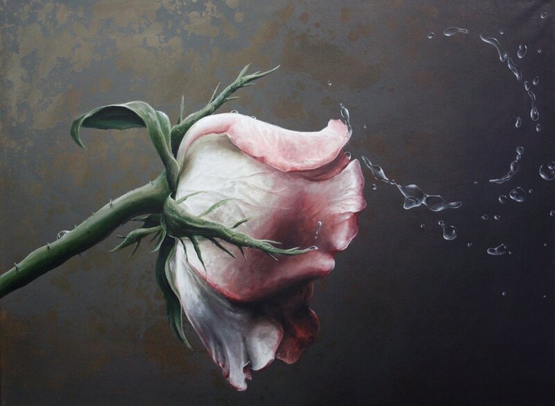 Wilted Rose with Water Droplets