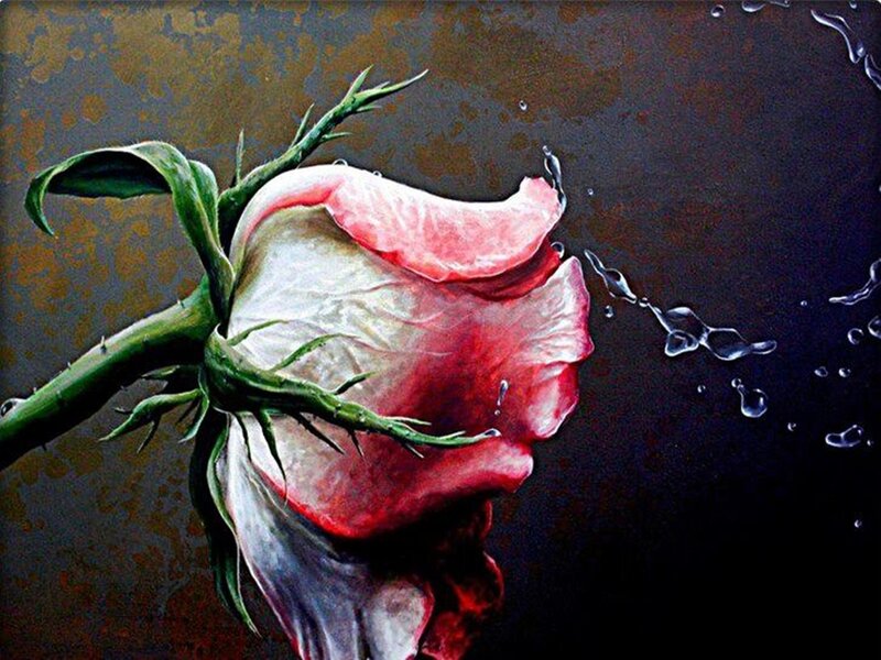 Wilted Rose with Water