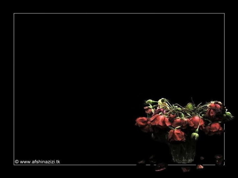 wilted roses in a vase