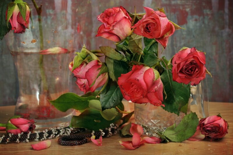 Wilted Roses in Vase