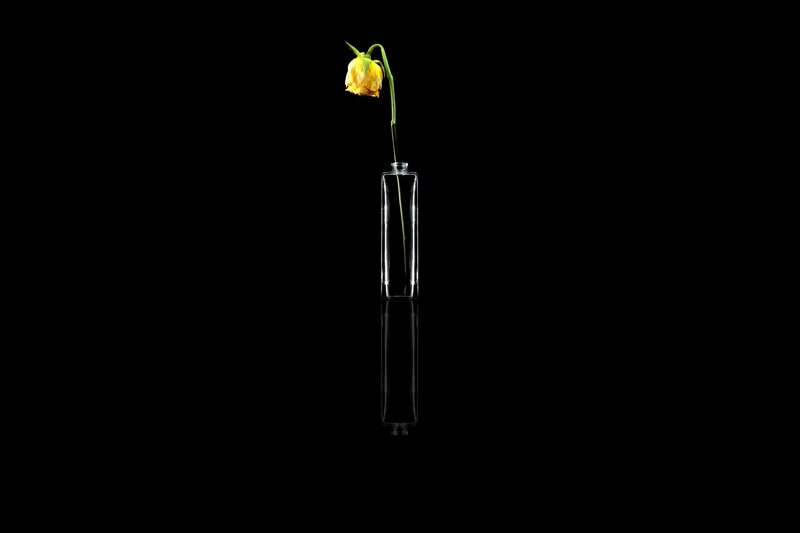Wilted Yellow Flower