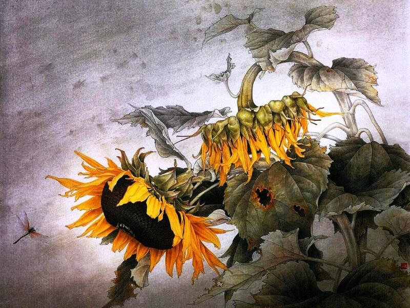 Wilting Sunflowers