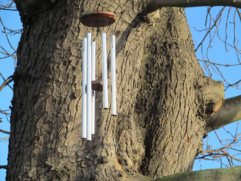 Wind Chime on Tree