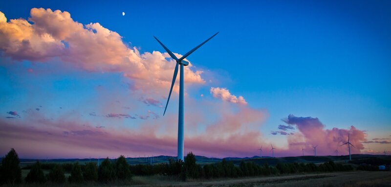 Wind Turbine Field