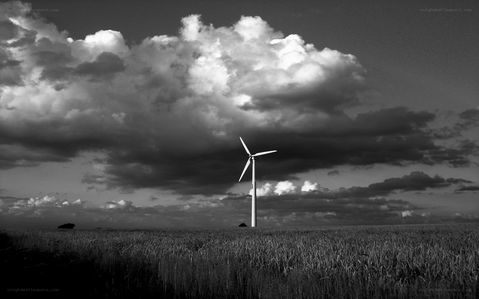 Wind turbine in a field