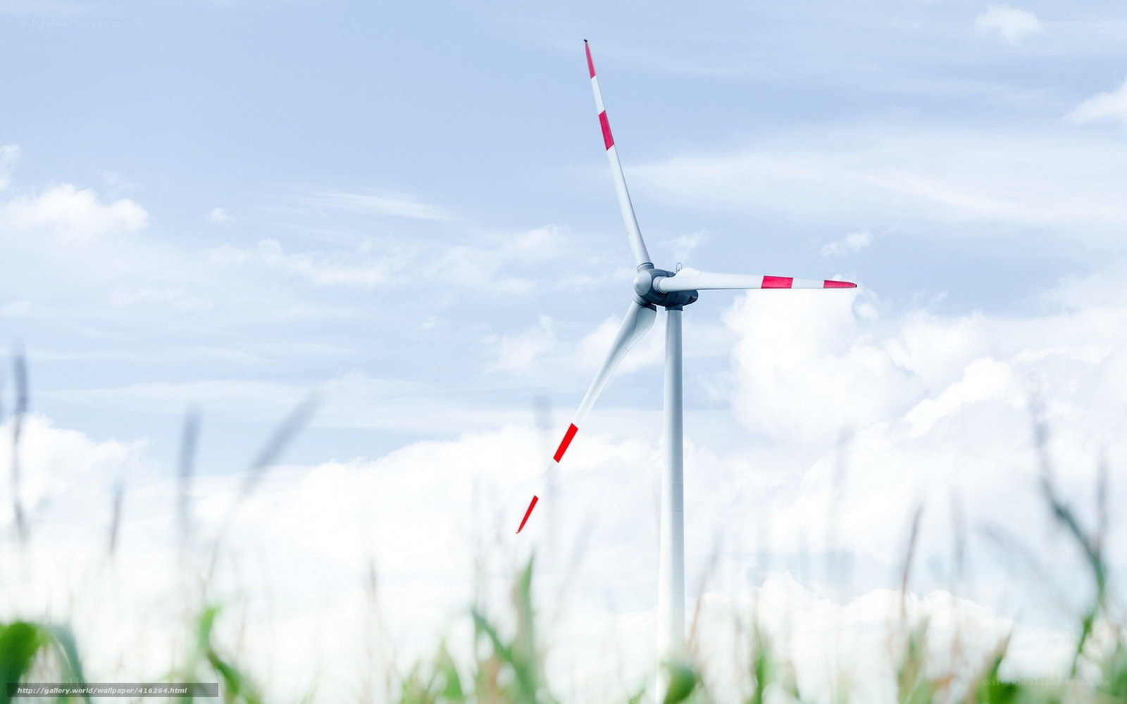 Wind turbine in a field