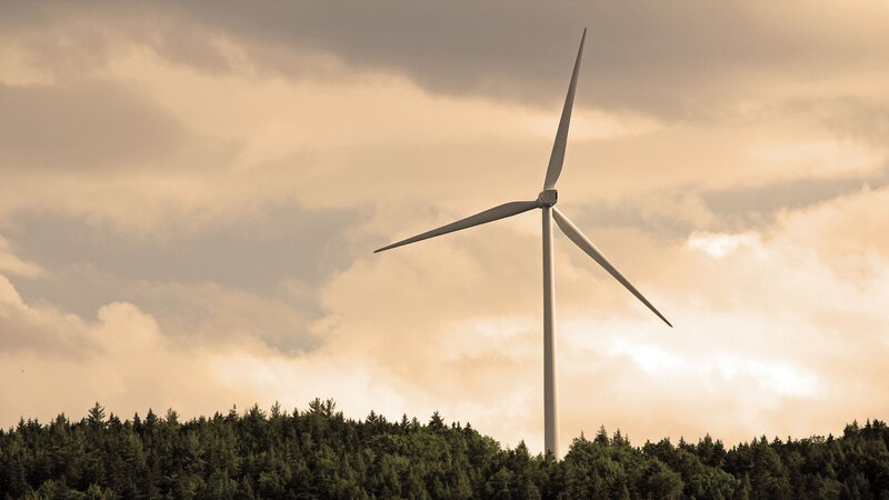 Wind Turbine in Forest