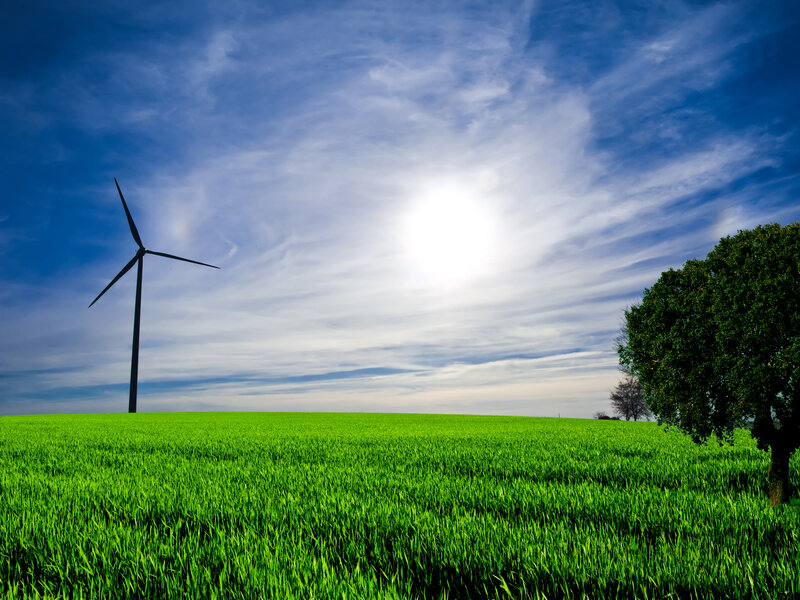 Wind turbine in green field