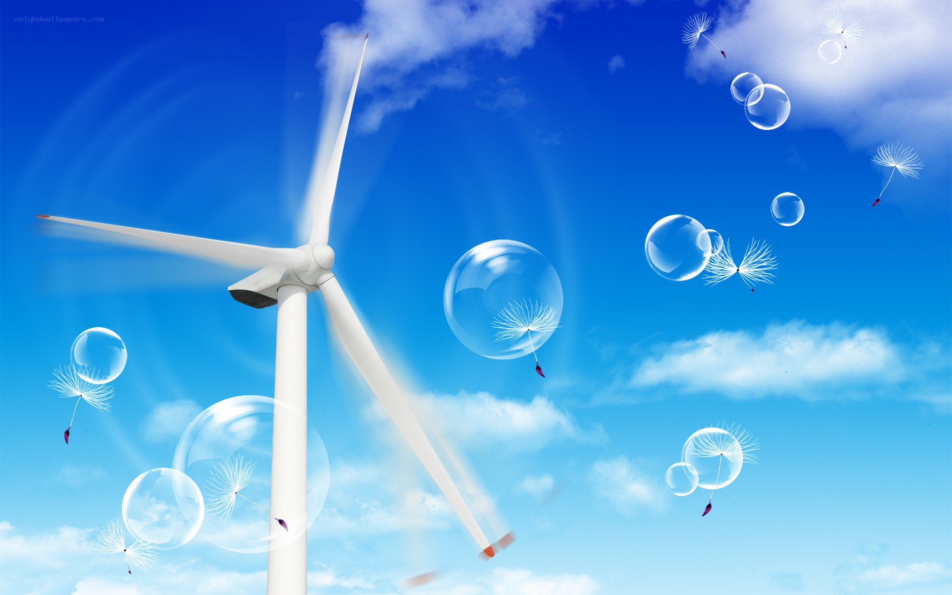 Wind turbine with dandelions