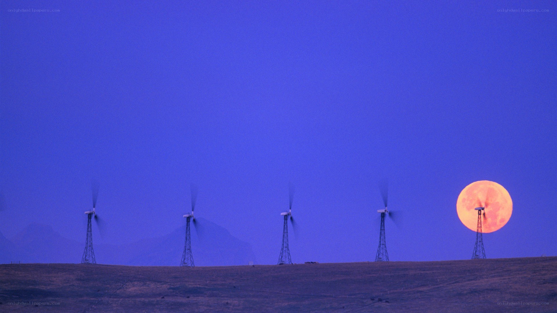 Wind turbines at dusk with full moon