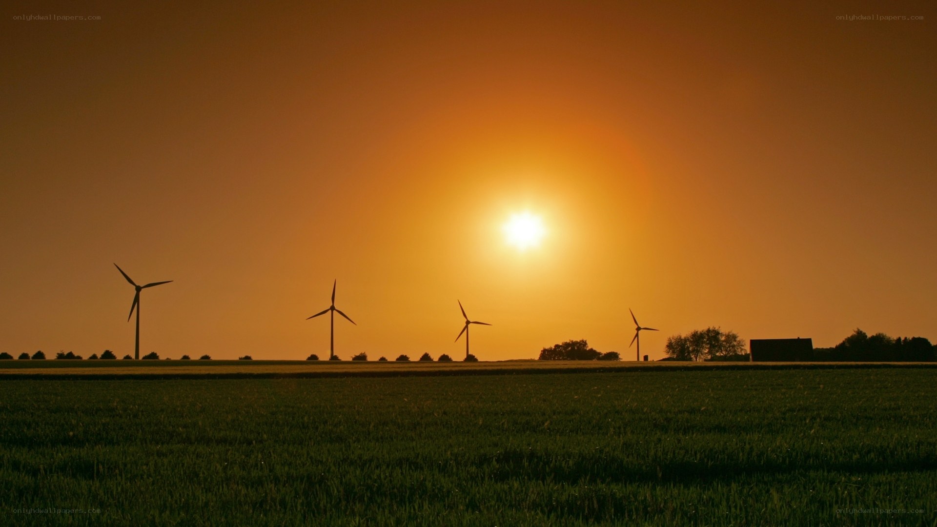 wind turbines at sunset