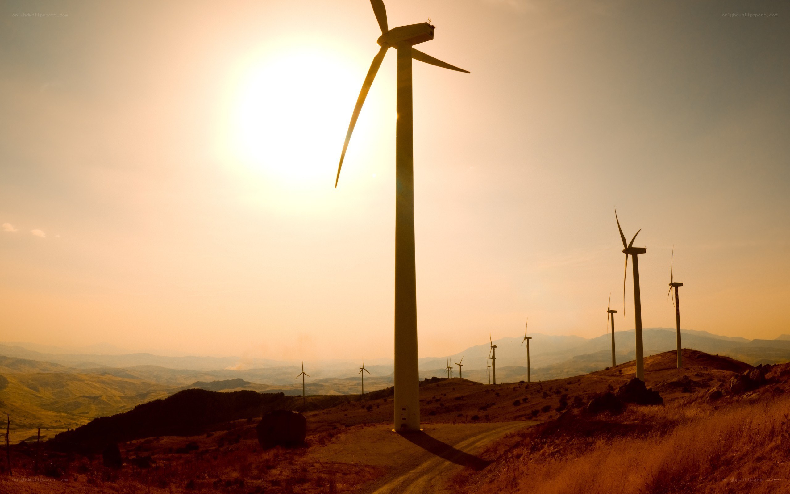 Wind turbines at sunset