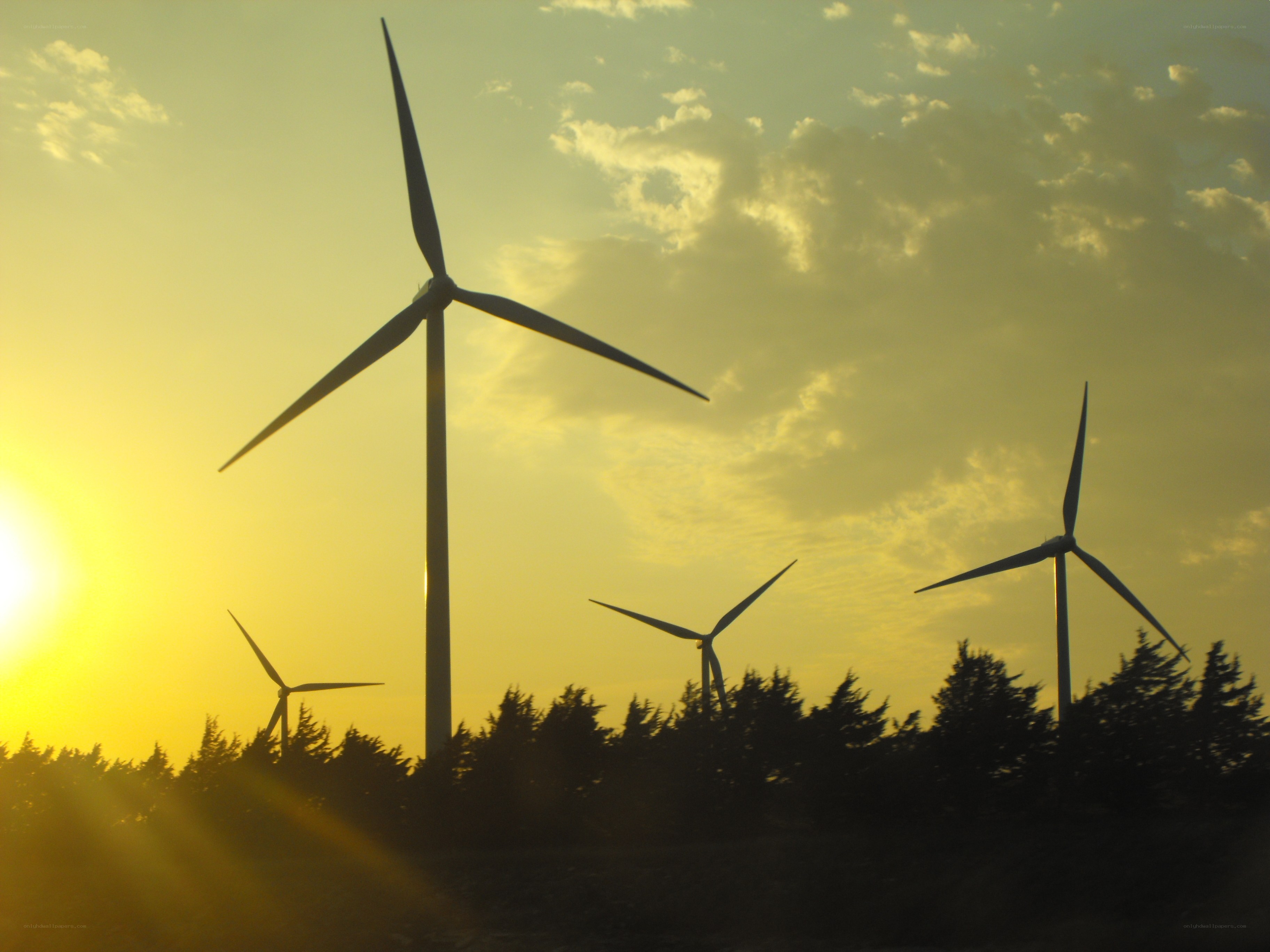 Wind turbines at sunset