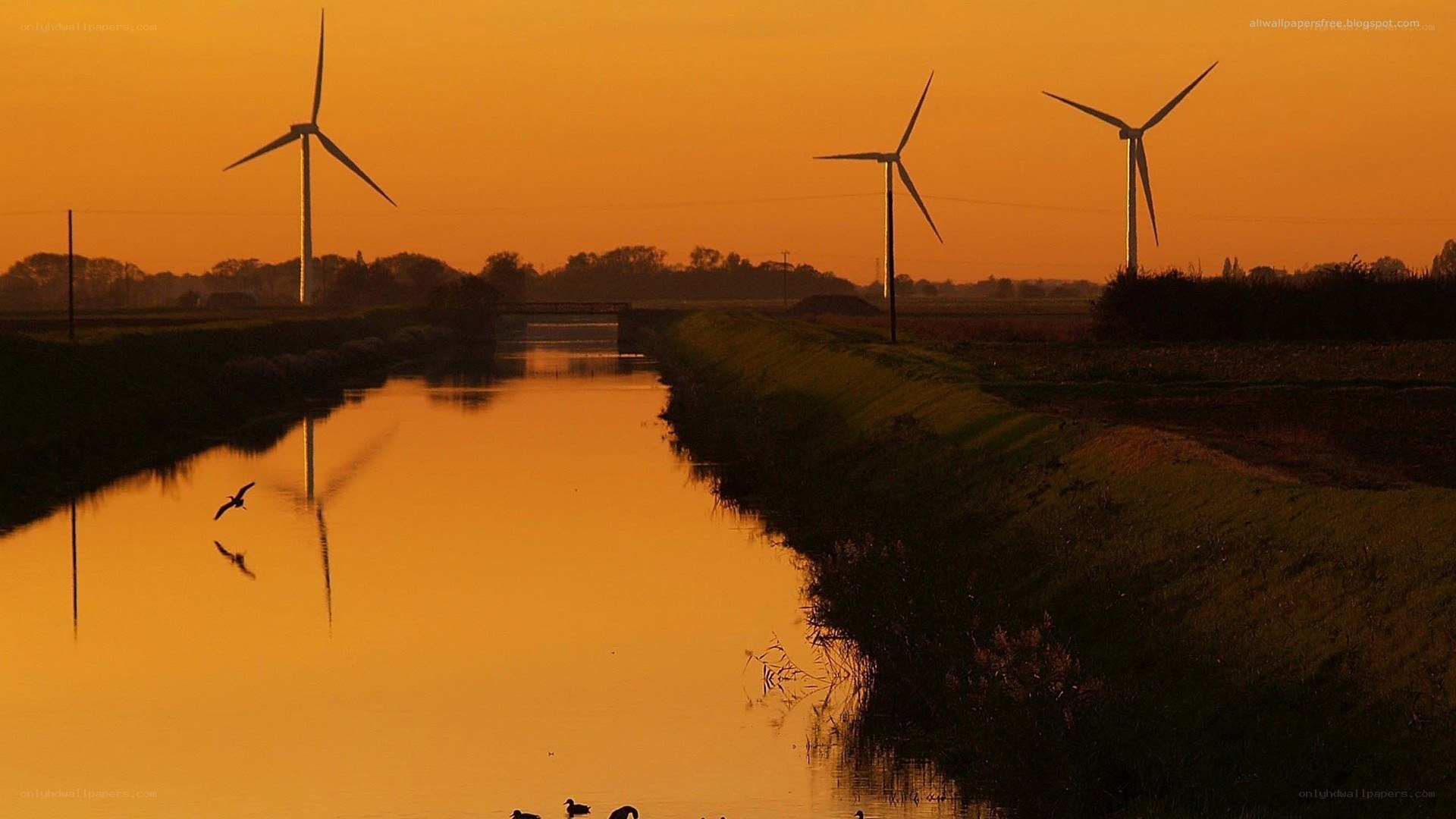 Wind turbines at sunset