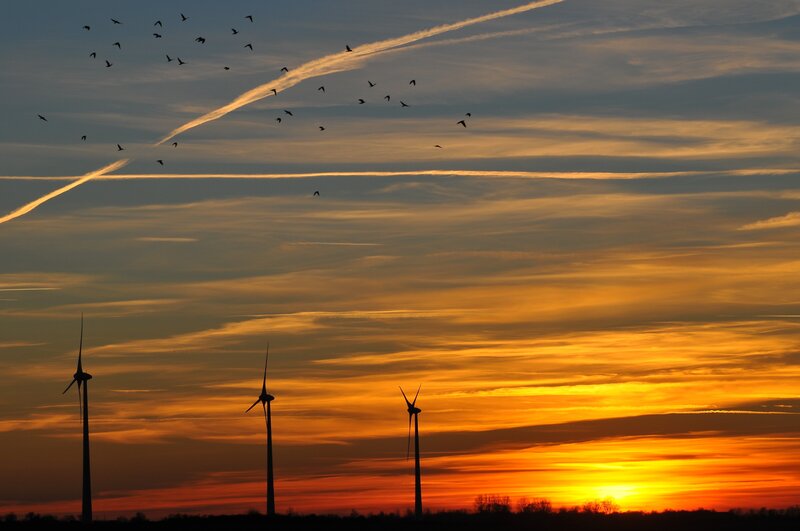 Wind turbines at sunset