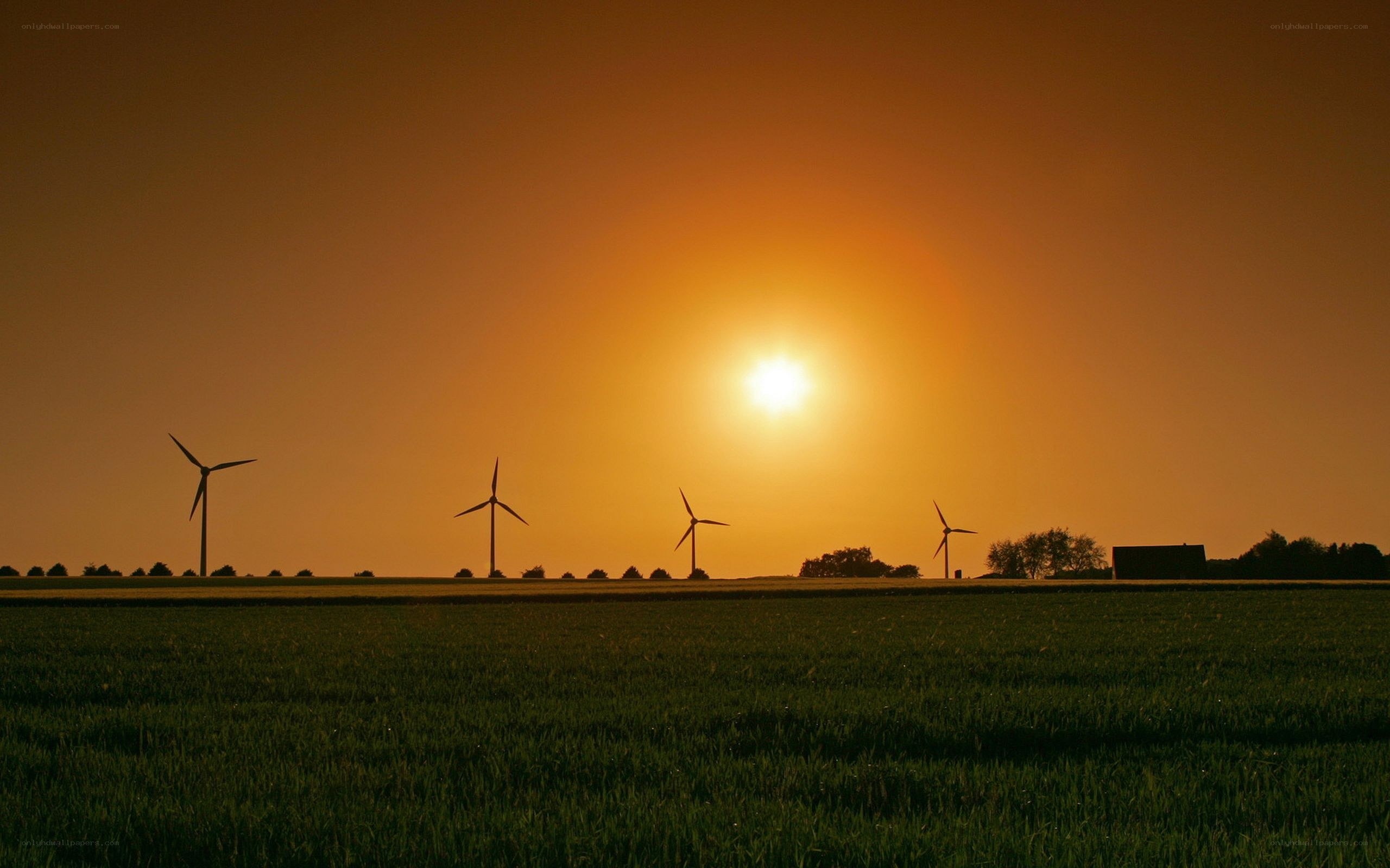 Wind turbines at sunset