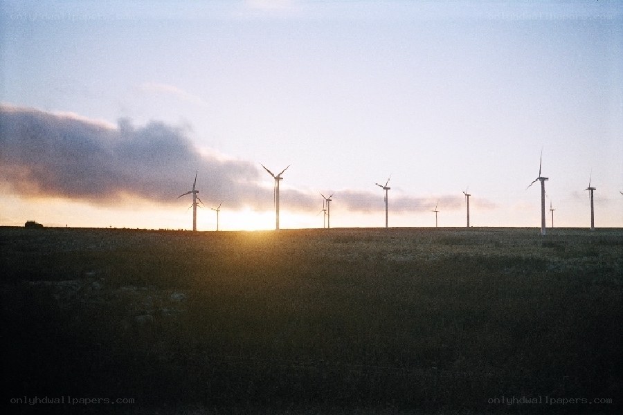 Wind turbines at sunset