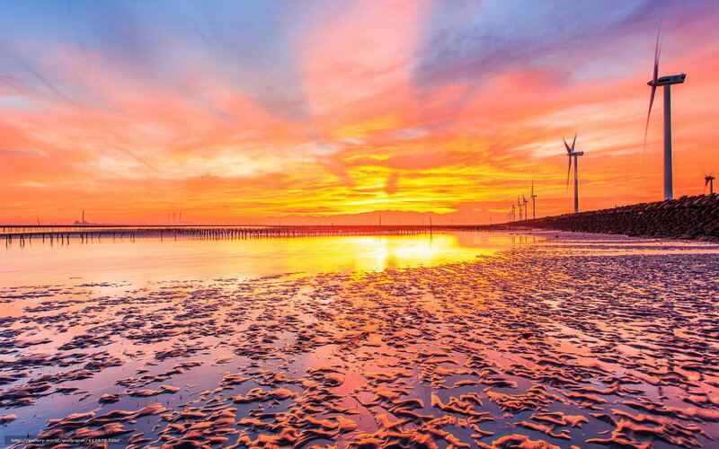 Wind Turbines at Sunset — Orange, Dramatic, Photograph, Beach, Wind Turbines