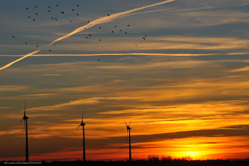 Wind Turbines at Sunset — Orange, Dramatic, Photograph, Birds